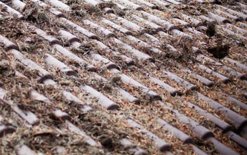 Hessay roof cleaning companies