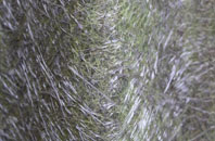 Hessay fibreglass roof work